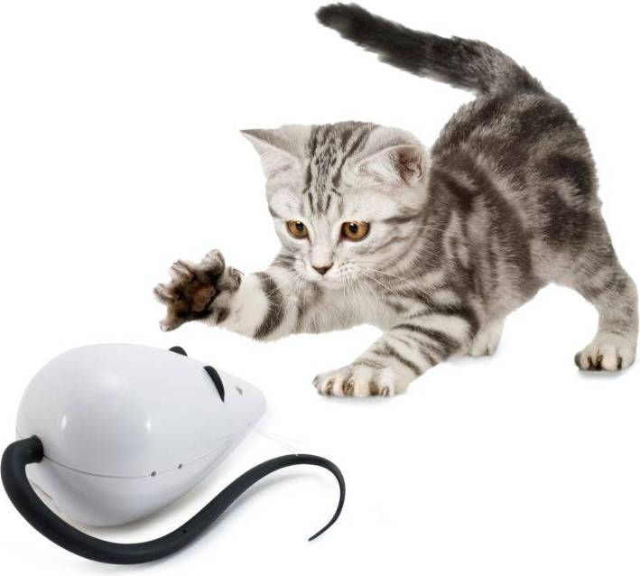 FroliCat Rolo Rat Automatic Cat Toy