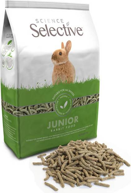 Science Selective Junior Rabbit