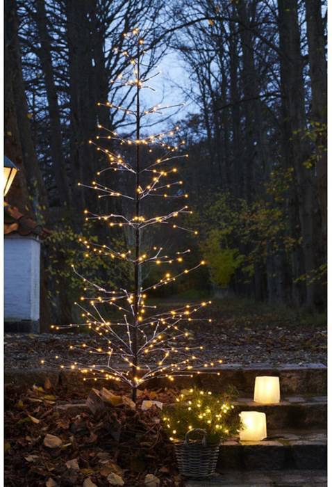 Isaac Tree
