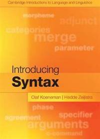 Introducing Syntax (Häftad, 2017)