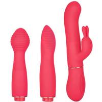 Bild på CalExotics In Touch Dynamic Trio vibrator