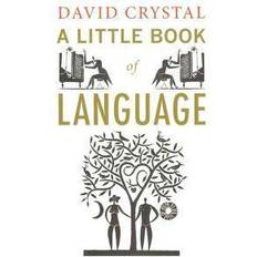 A Little Book of Language (Paperback, 2011)