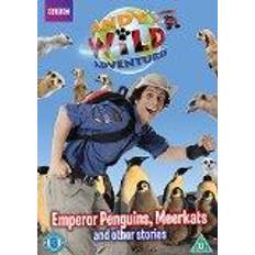 Andy's Wild Adventures - Emperor Penguins, Meerkats & Other Stories [DVD]