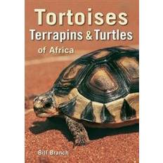 Naturwissenschaft & Technik E-Books Tortoises, Terrapins & Turtles of Africa (E-Book, 2015)