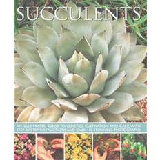 Succulents Succulents (Häftad, 2015)