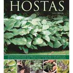 Hostas (Häftad, 2013)