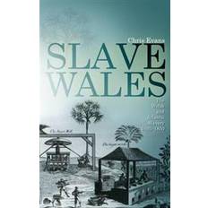 Slave Wales (Paperback, 2010)