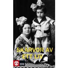 Skärvor av ett liv (E-bok)
