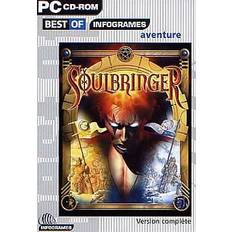 Soulbringer (PC)