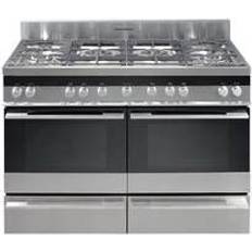 Fisher & Paykel OR120DDGWX1 Stainless Steel