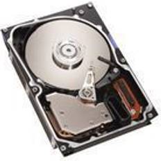 3.5" - SAS Hard disk IBM 73GB SCSI 10000rpm 3.5' 73GB SCSI disco rigido interno