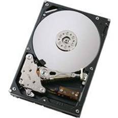 ESATA Harddisk Dell 400-13184 300GB