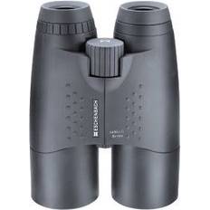Sector D compact 8x56 B