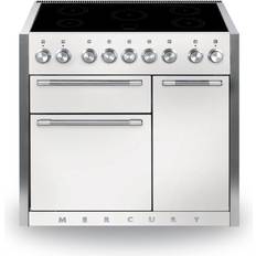 100cm - White Induction Cookers Mercury 1000 Induction Stainless Steel, White