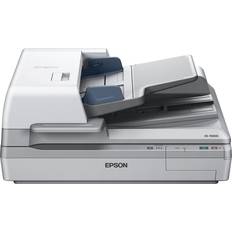 Epson WorkForce DS-70000 Scanner de documents Recto-verso A3 600 dpi x 600 dpi jusqu'à 70 ppm (mono) jusqu'à 70 ppm (couleur) Chargeur