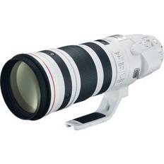 Canon EF 200-400mm F/4L IS USM Extender 1.4x