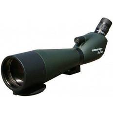 Sahara 20-60x80