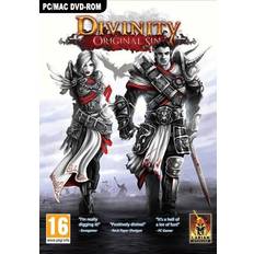 Divinity: Original Sin (PC)