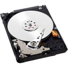 2.5" - 500 GB - HDD Disques durs Western Digital Disque Dur WD Laptop 500 Go