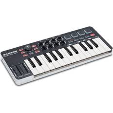 Graphite Mini 25