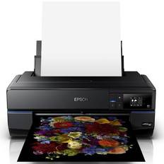 Surecolor sc p800 Epson SureColor SC-P800