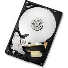 HGST Ultrastar A7K2000 HUA722010CLA330 1TB