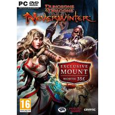 Neverwinter (PC)