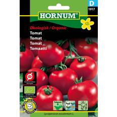 Tomater Grönsaksfröer Hornum Organic Tomato Matina