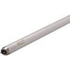 Osram L Fluorescent Lamp 36W G13 77