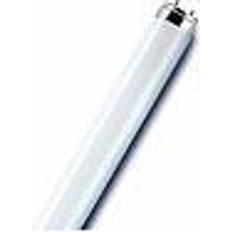 Sylvania 0000874 Fluorescent Lamp 25W G13