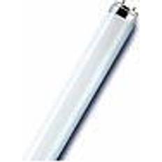 Sylvania 0001080 Fluorescent Lamp 30W G13