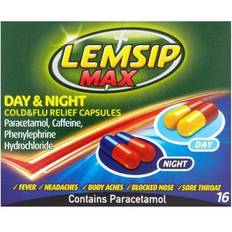 Lemsip Max Day & Night Cold & Flu Relief 500mg 16pcs Capsule