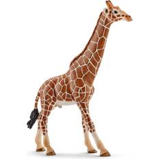 Schleich 2514749 Giraffa Maschio