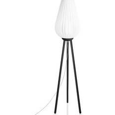 Globen Lighting Swea Golvlampa 140cm