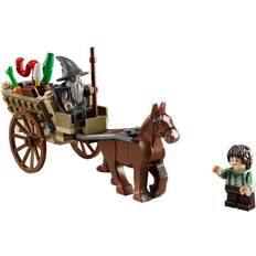 Der Herr der Ringe Bauspielzeuge LEGO Lord of the Rings Gandalf Arrives 9469