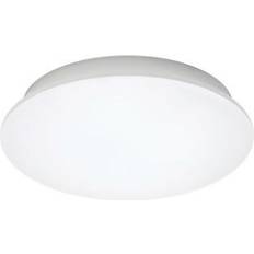 Hide-a-lite Moon 320S Loftlampe