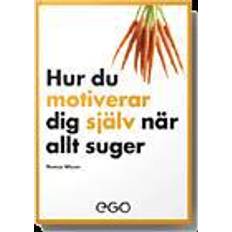 Hur du motiverar dig själv när allt suger (Häftad)