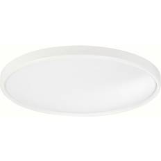 Belid Takplafonder Belid P2167 Slim Takplafond ∅ 43cm