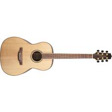 Takamine GY93