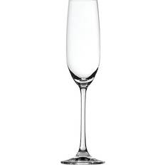 Glas Sektgläser Spiegelau Salute Sektglas 21cl 4Stk.