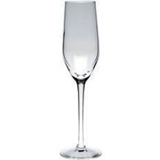 Arcoroc Champagne Glasses Arcoroc Mineral Champagne Glass 16cl