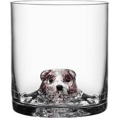 Kosta Boda New Friends Tumbler 13.5fl oz