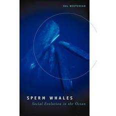 Sperm Sperm Whales (Hæftet, 2003)