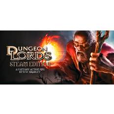 PC Games Dungeon Lords - Steam Edition (PC)