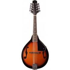 Stagg M20