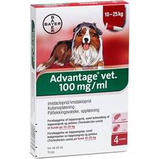 Advantage vet Bayer Advantage Flea Medium