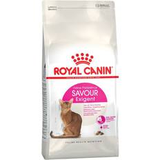 Royal Canin Gatto Animali domestici Royal Canin Exigent 35/30 - Savour Sensation 0.4kg