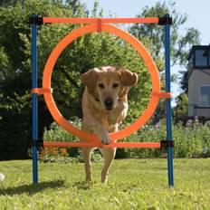 Zooplus Hundefoder Kæledyr Zooplus Agility Fun & Sport Spring-Ring - Komplet sæt, ring