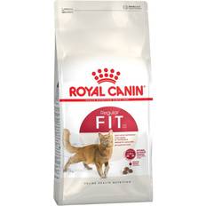 Royal Canin Gatto Animali domestici Royal Canin Cat Regular Fit 32 0.4kg