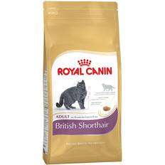 Royal Canin Katzen - Katzenfutter Haustiere Royal Canin British Shorthair Adult 4kg